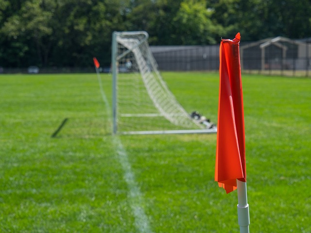 前三季度我国服务进出口总额同比增长14.5%.