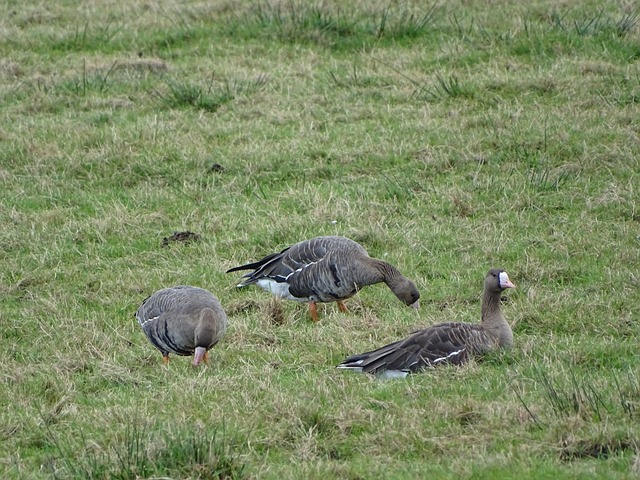 新华社体育图片每周佳作.