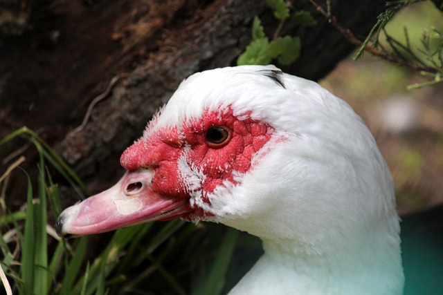 我国建成报汛站点15.4万处.