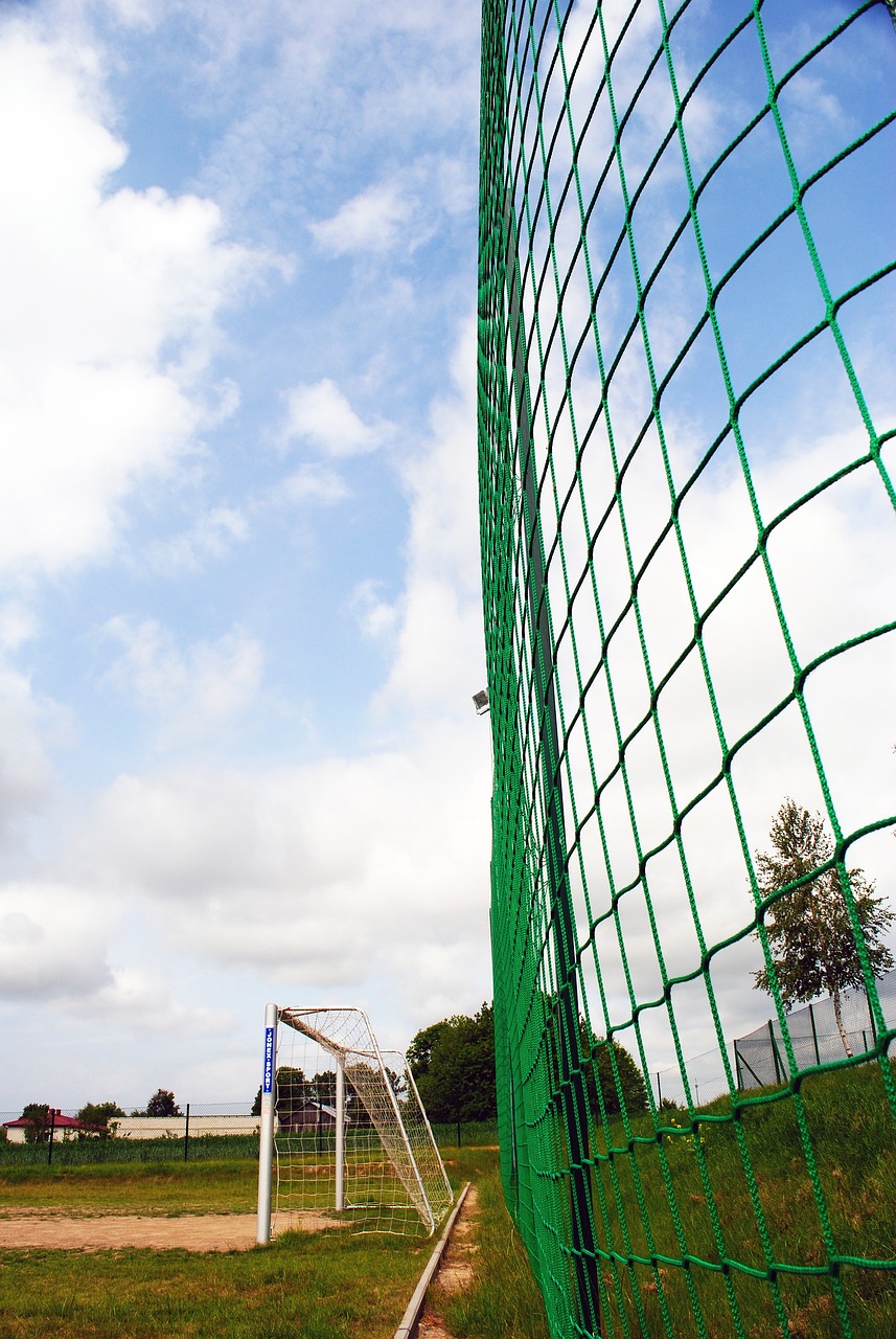 2024年我国完成国土绿化面积超1亿亩.