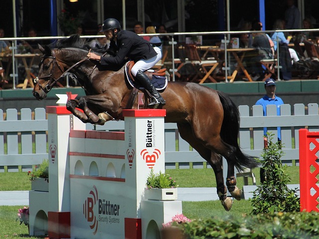 [流言板]蔡徐坤在韩国机场亮相，展示了全新的灰发造型8亮23回复.